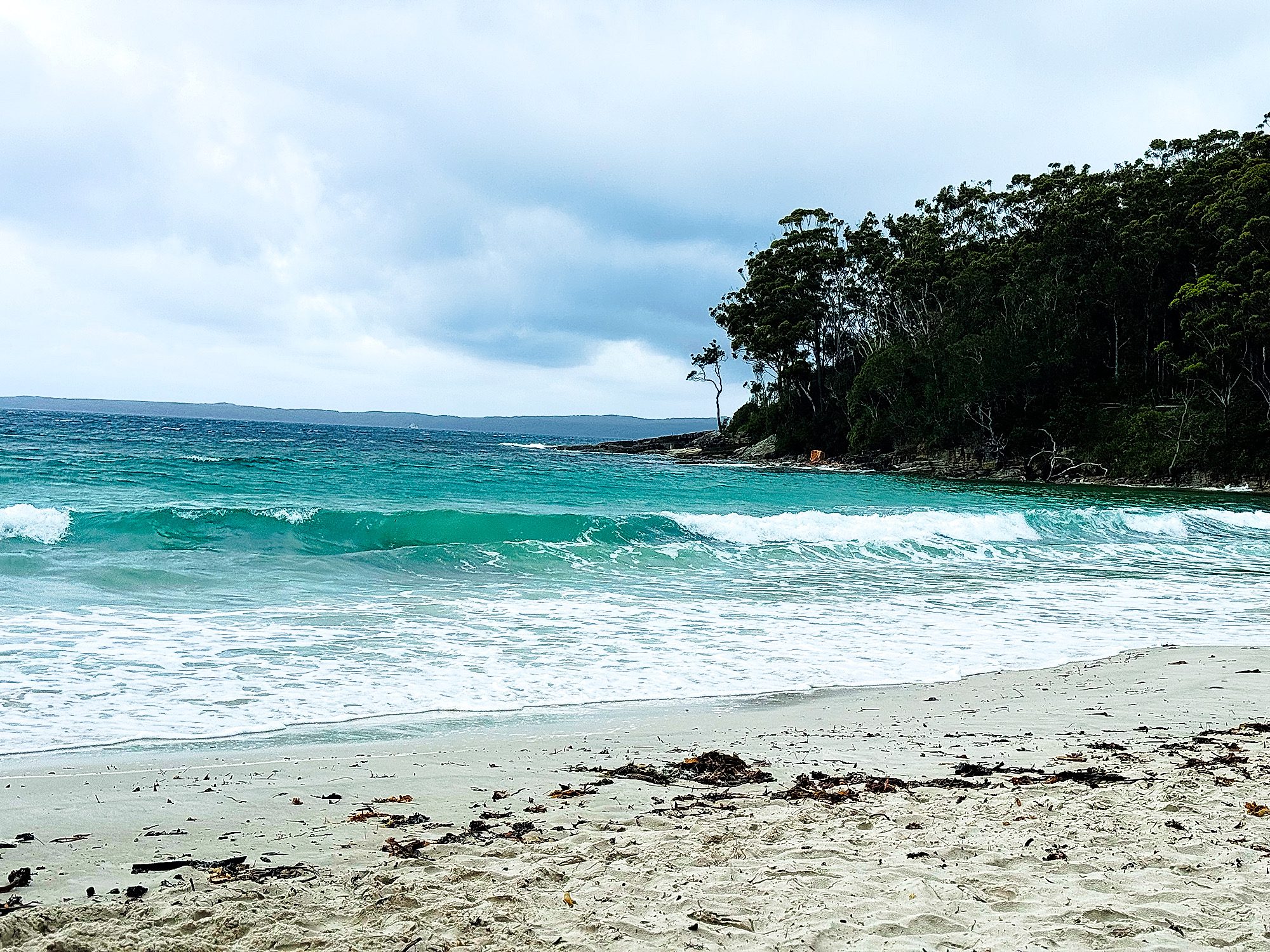 Jervis bay day tour